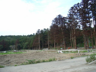 RIMG1517.JPG